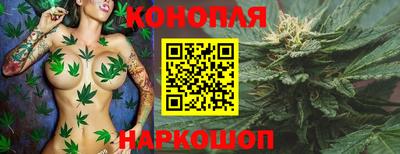 шишки Гудермес