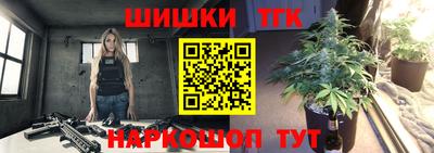 шишки Гудермес