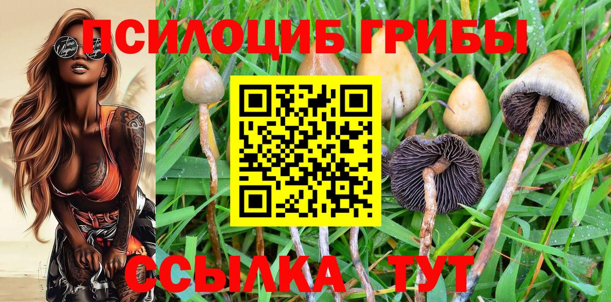 Галлюциногенные грибы MAGIC MUSHROOMS Ростов Великий
