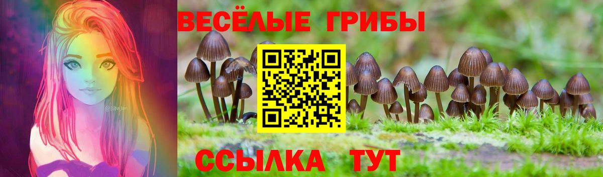Ростов Великий  Галлюциногенные грибы ЛСД  Вход с VPN 